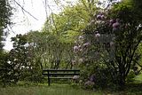 tannenfeld-sommer 2012-081